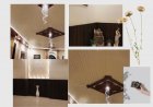 Pooja Narula Sharma ‘s ( CEO Cryatif Designing ) theme Project at Wheler’s Club Meerut
