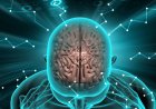 Inner Peace: The Heartbeat of World Meditation Day