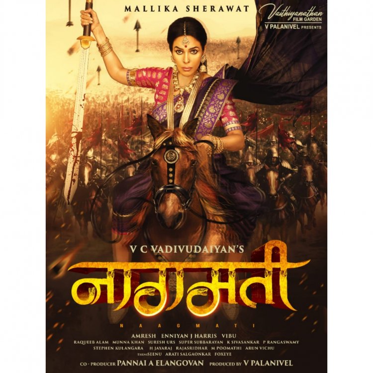 ‘I’m a path-breaker; not taking a risk is a bigger risk!’: Mallika Sherawat